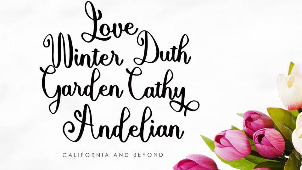 Alishan Script Font