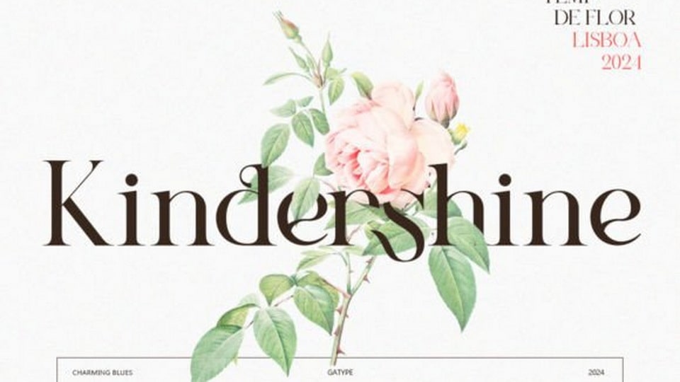 Charming Blues Font