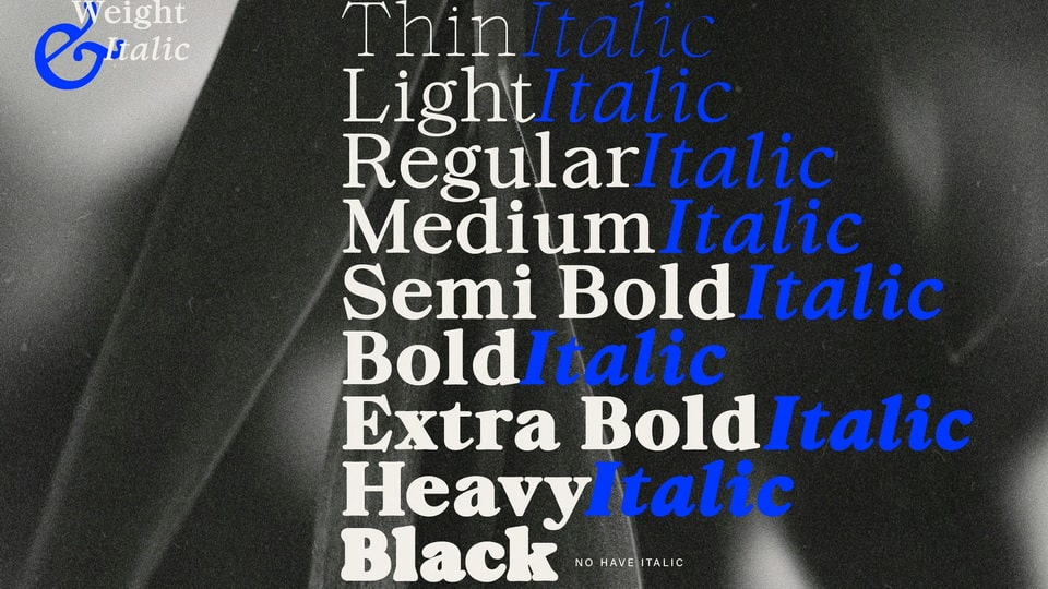 ZT Chintzy Typeface