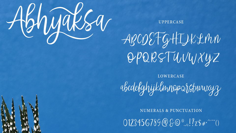 Abhyaksa Script
