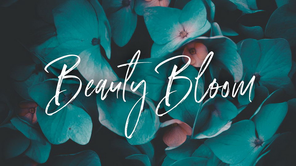 Amourist Script
