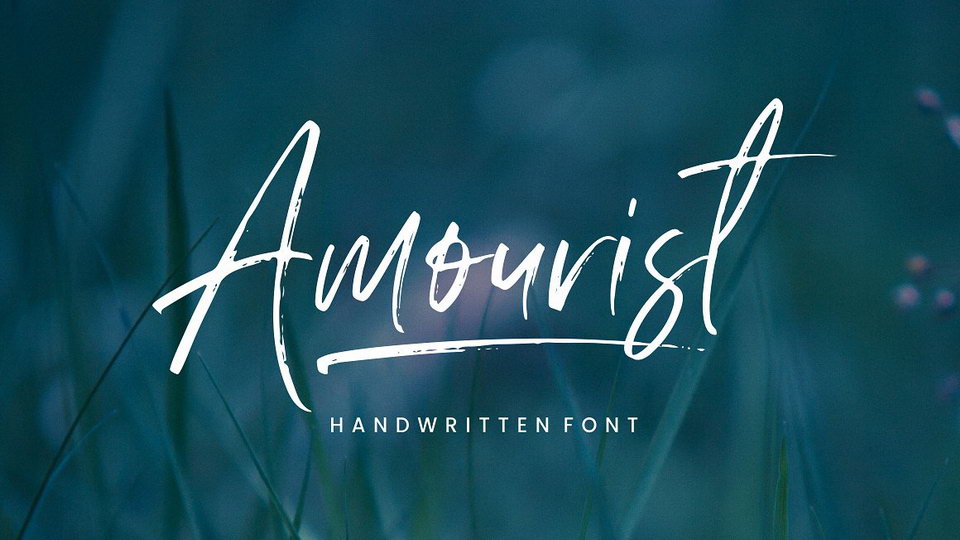 Amourist Script