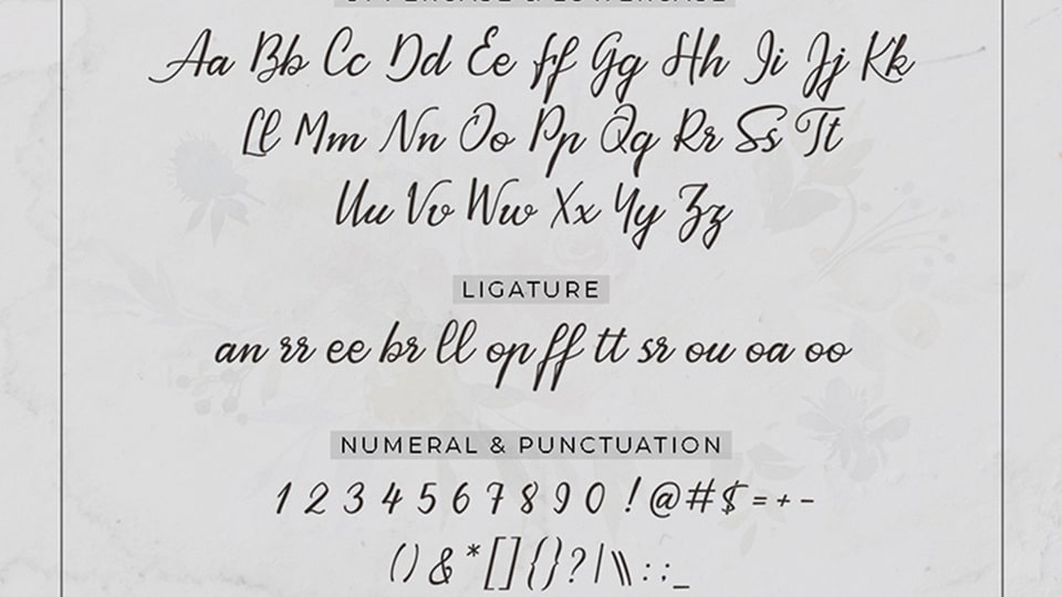 Ayrton Pight Font