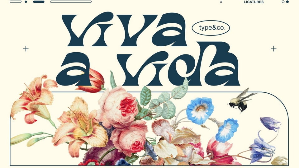 Bohay Font