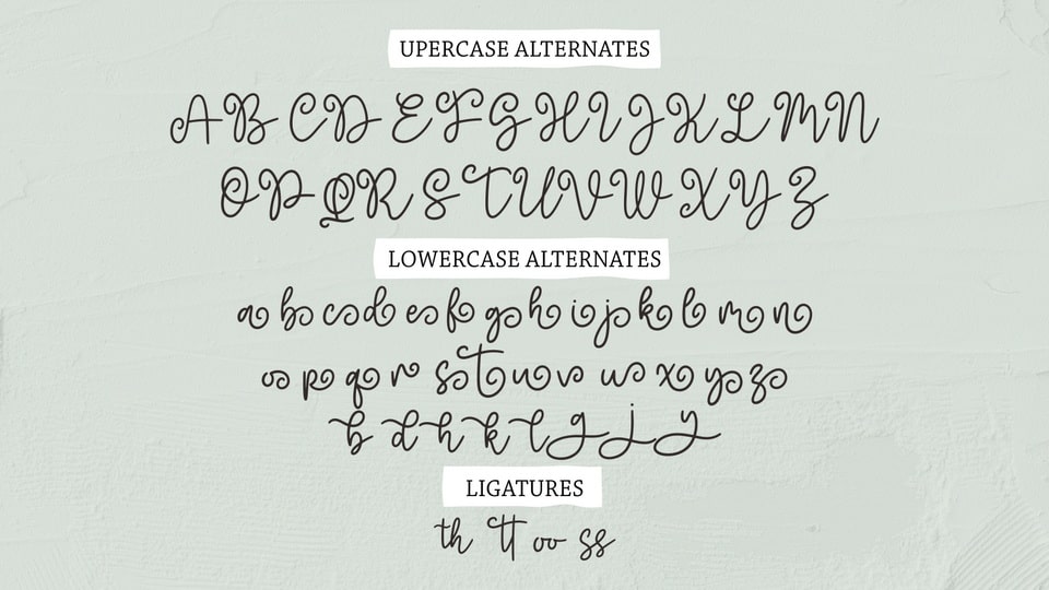 Brotusse Font