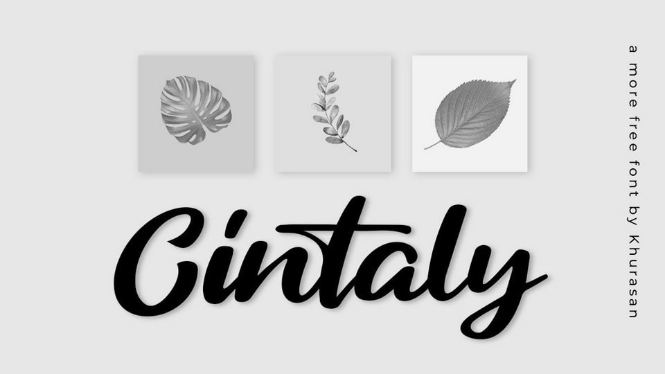 Cintaly Font