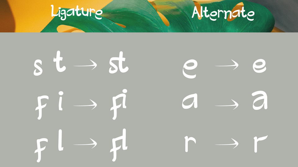Creative Designer Font