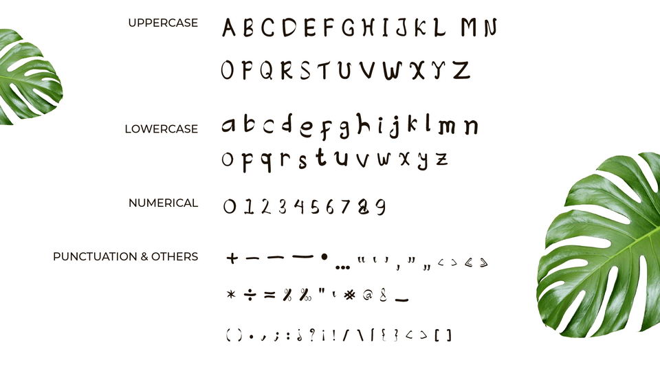 Creative Designer Font