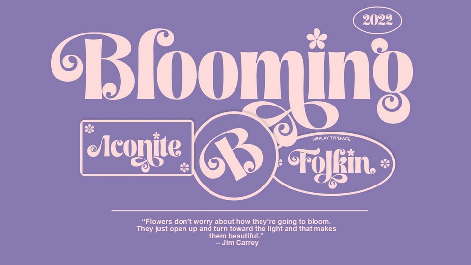 Folkin Font
