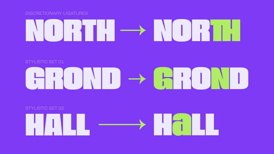 Grunk Bold Display Font
