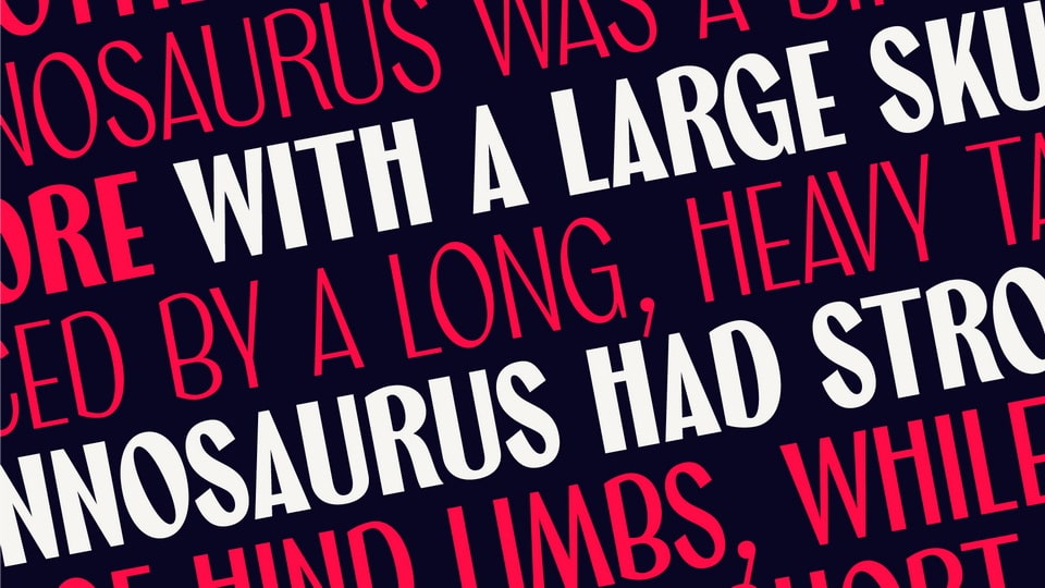 Marcione Font