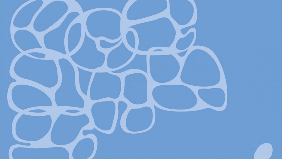 Oceanus Font