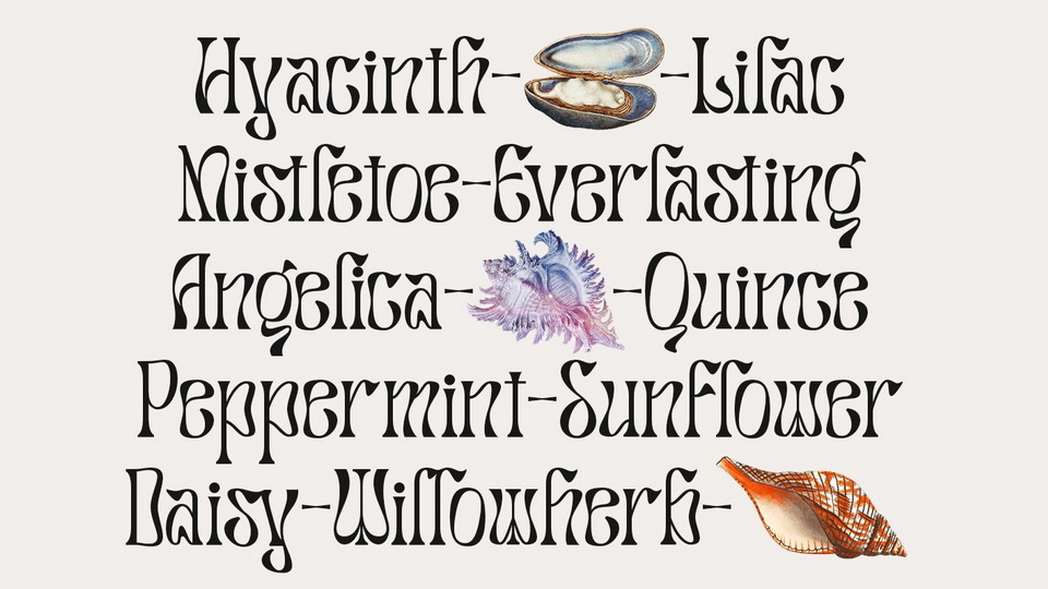 Salty Mussy Font