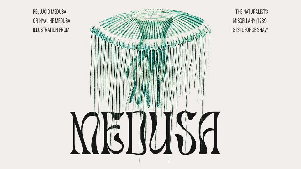 Salty Mussy Font