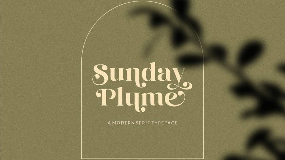 Seventh August Font