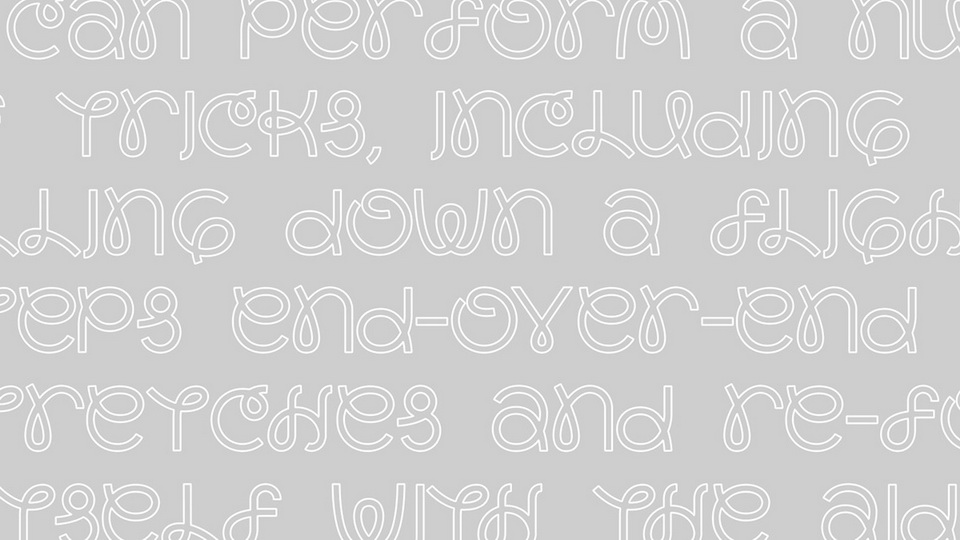 Slinkee Font