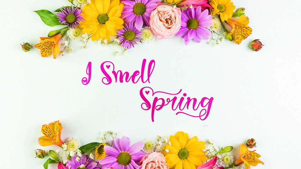 Spring Heart Font
