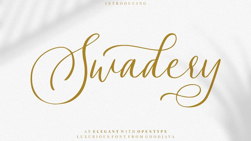 Swadery Font