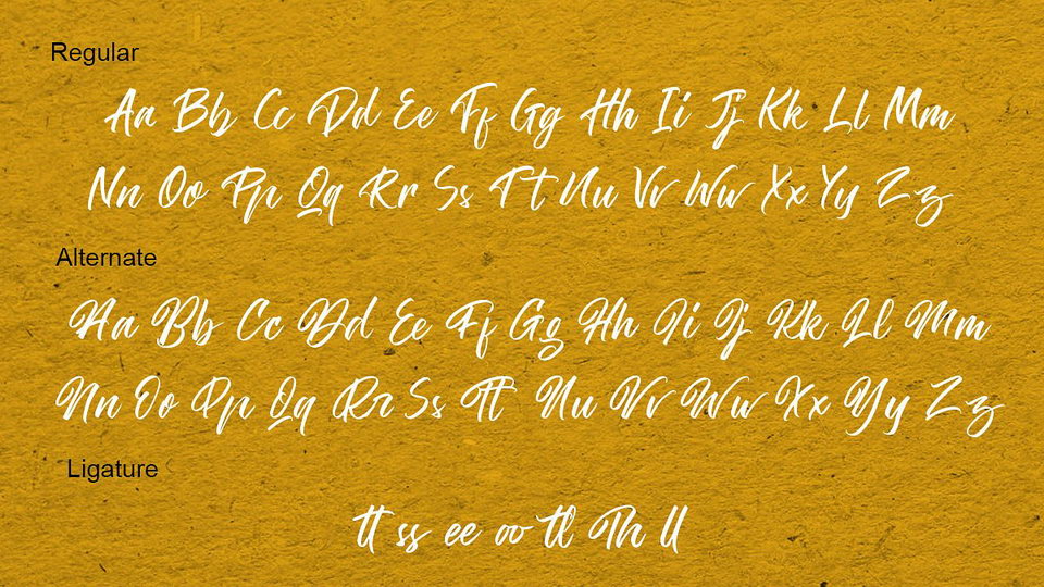 The Hamburg Script