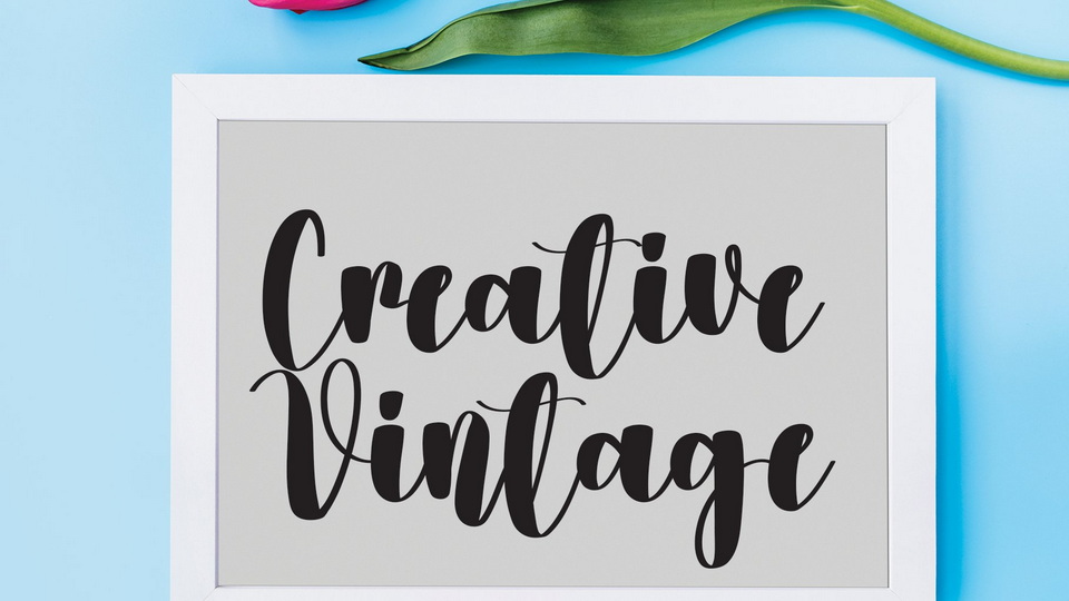 Videography Font