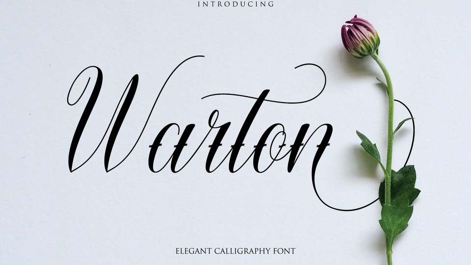 Warton Font