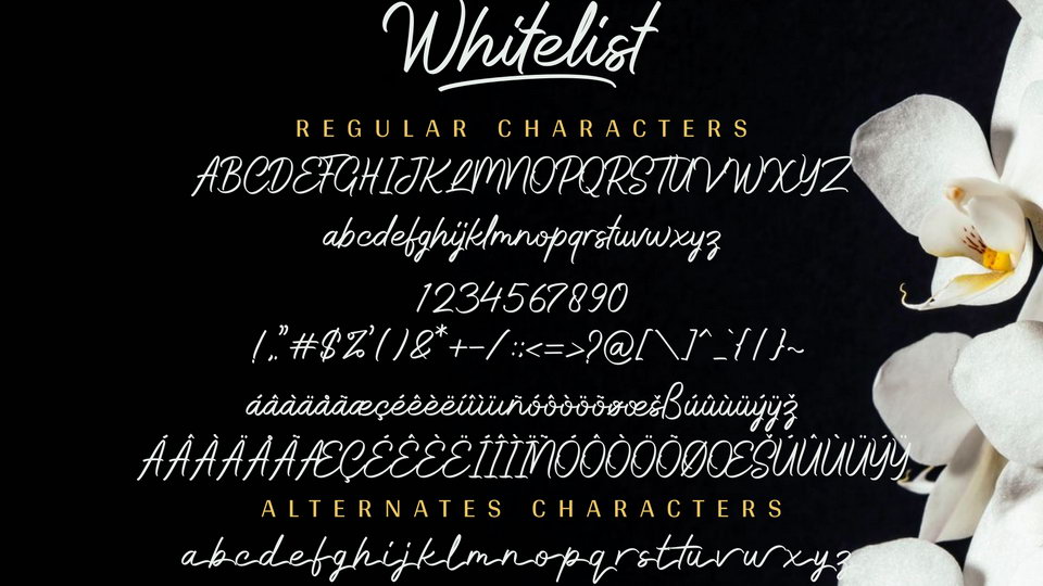 Whitelist Font