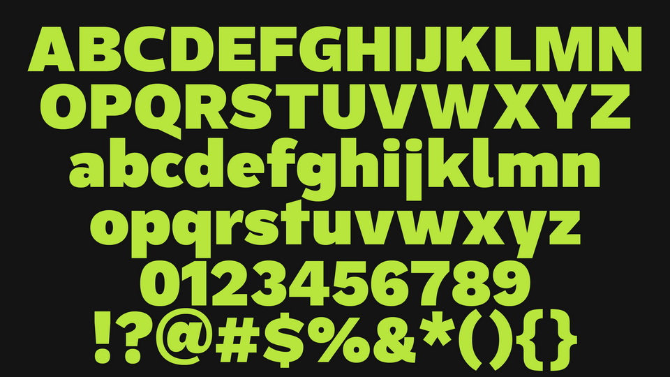 ZT Rayflo Font