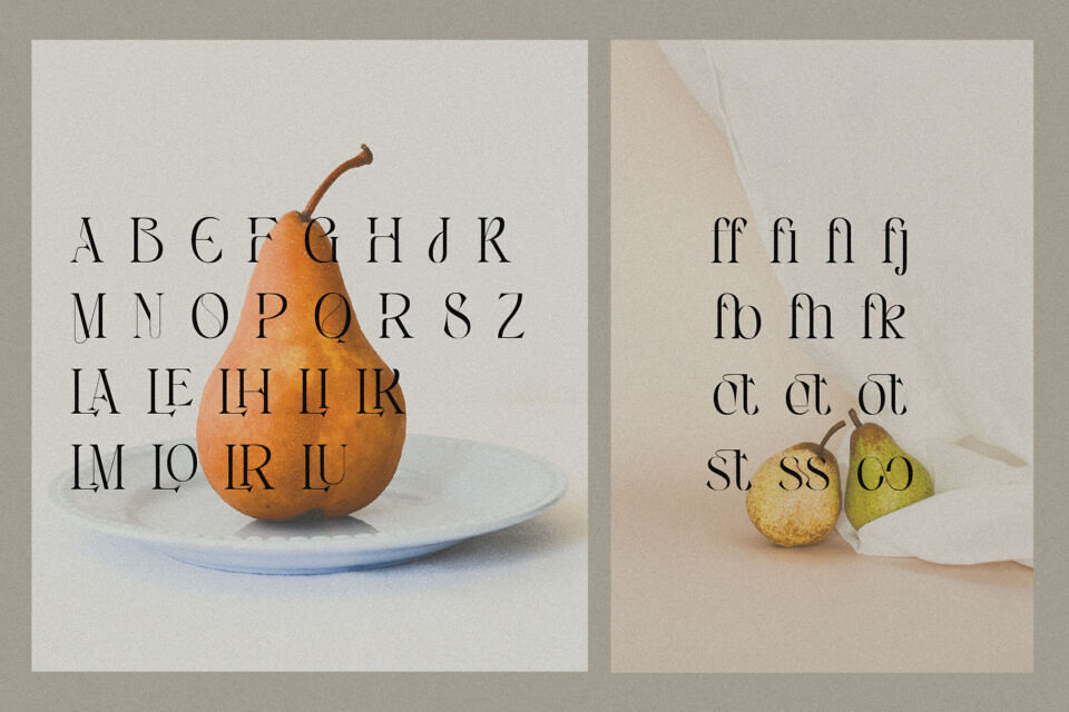 Angelissa Font