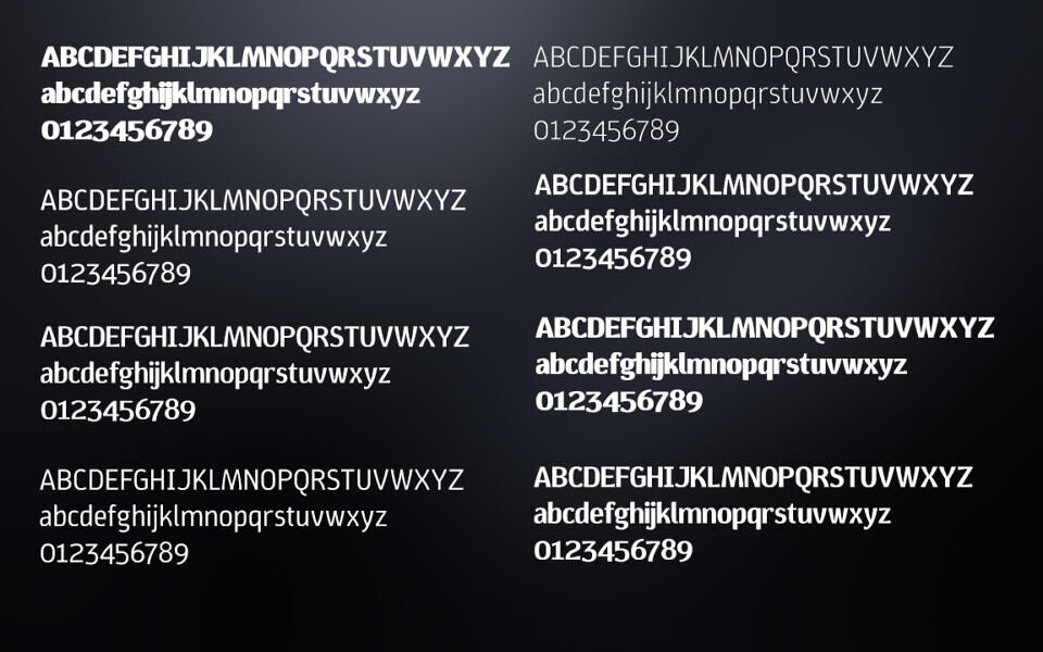 Aniva Sans Font