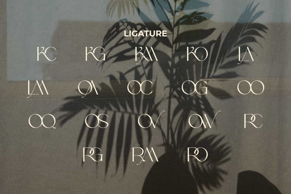 Backcrose Font