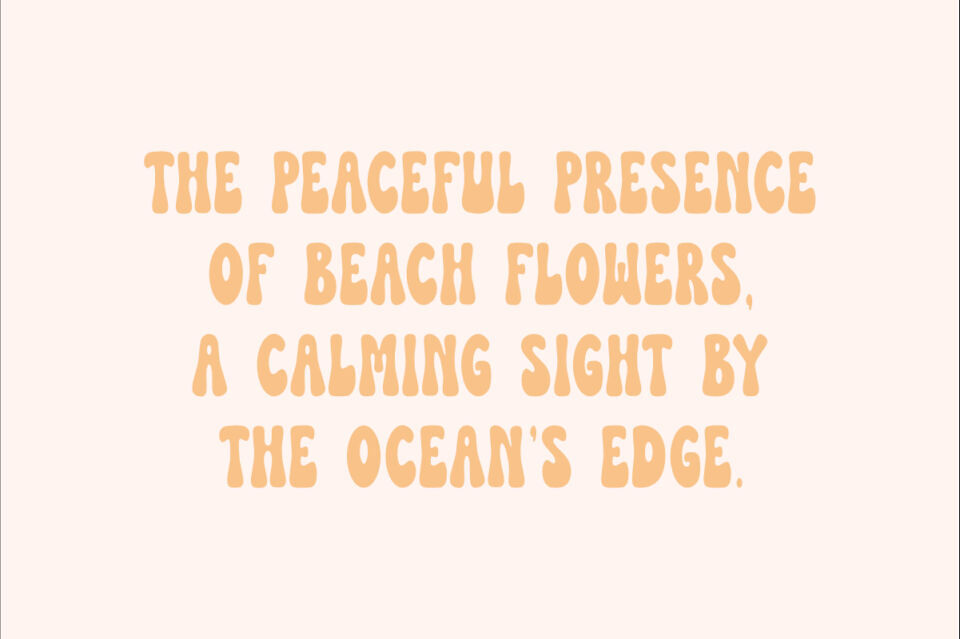 Beach Flower Font