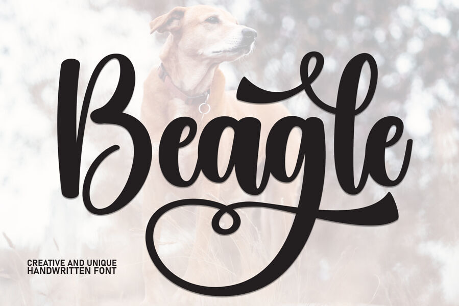 Beagle Font