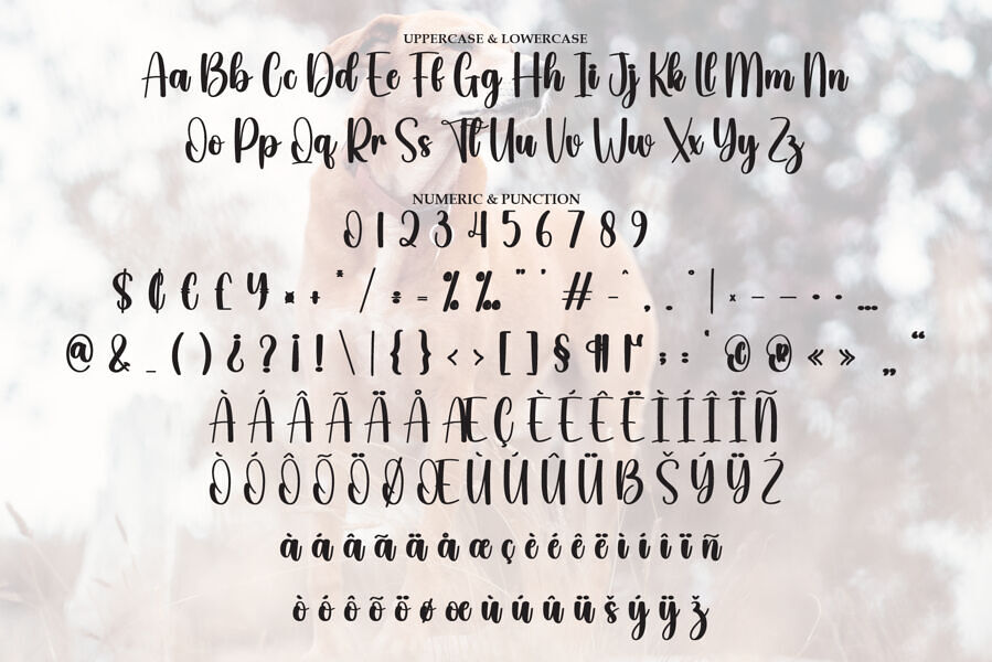 Beagle Font