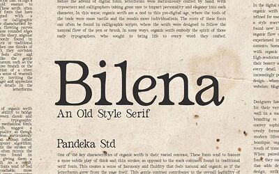 Bilena Font (5)