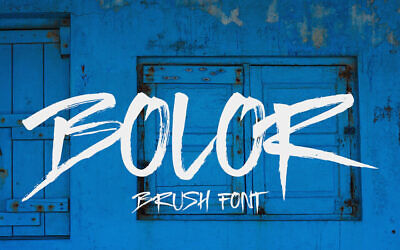 Bolor Font