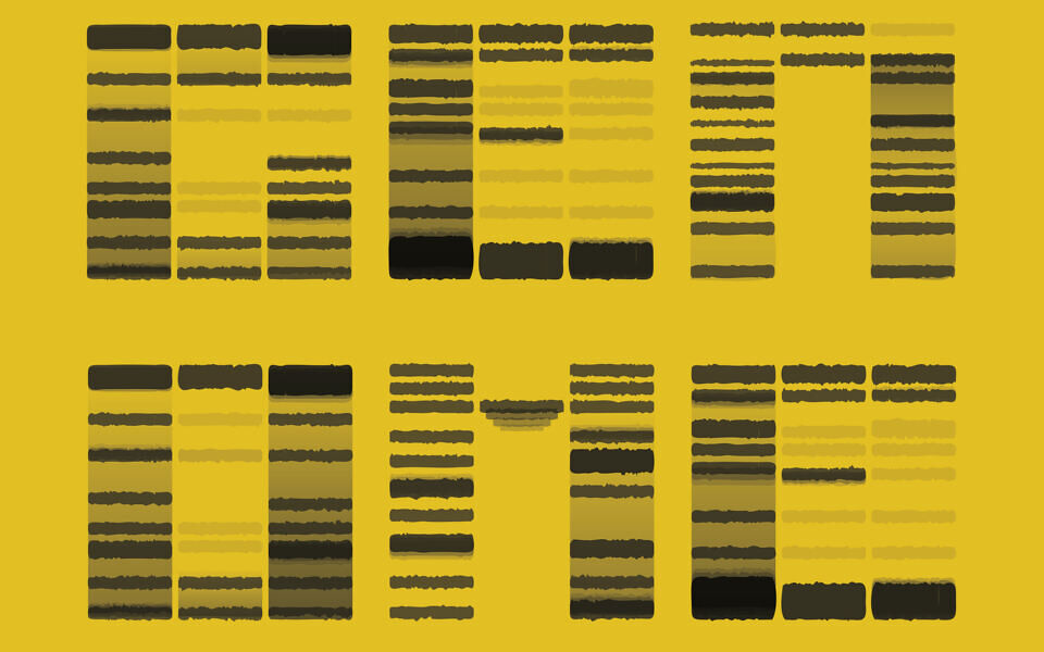 Genome Font