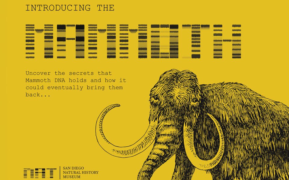 Genome Font