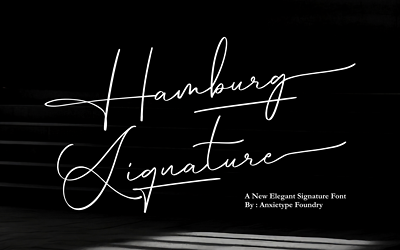 Hamburg Signature Font (10)