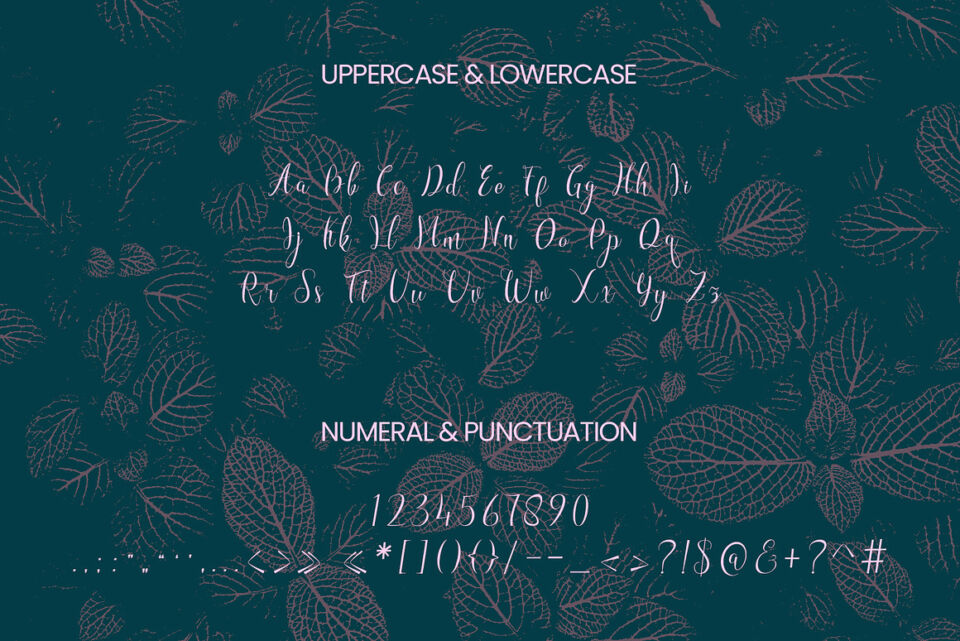 Morcote Font