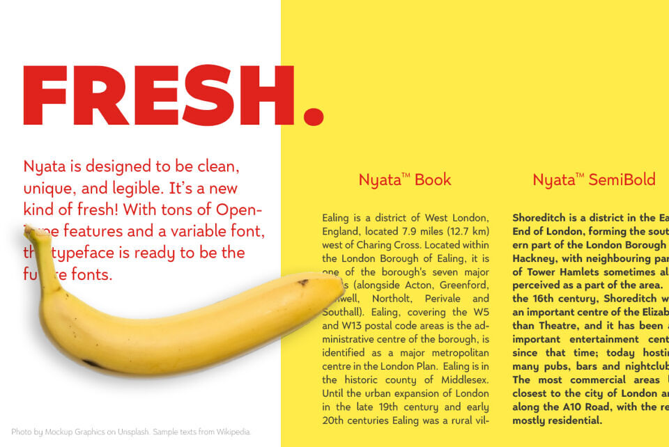 Nyata FTR Font