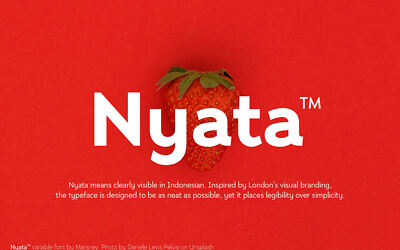Nyata FTR Font (6)