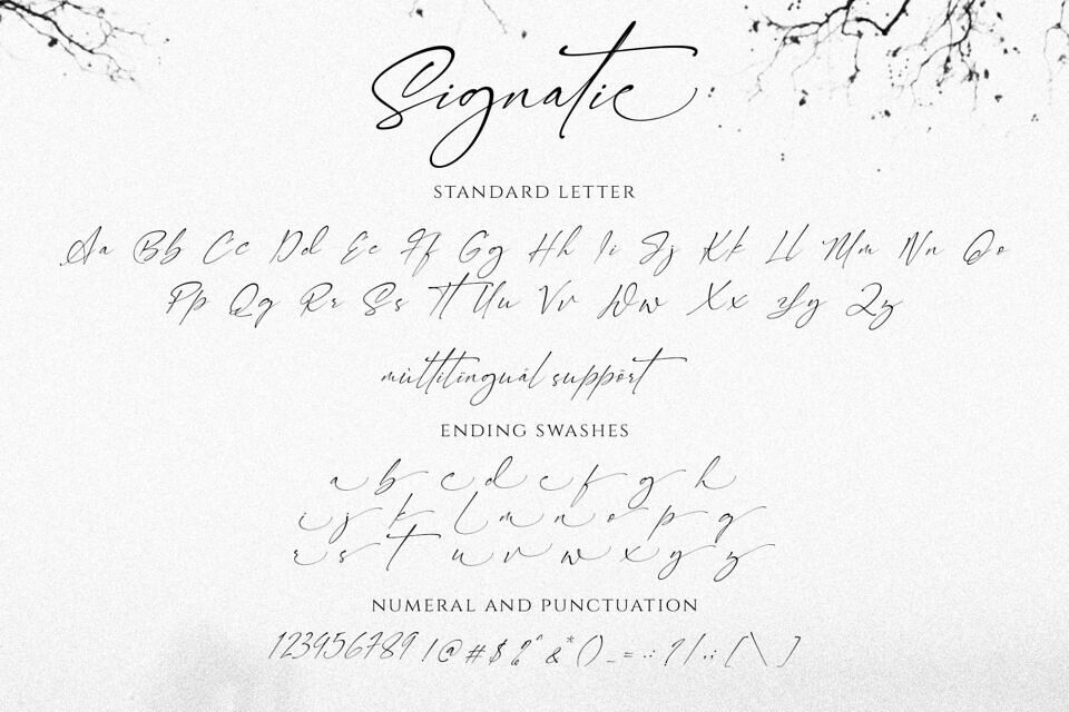 Signatie Font