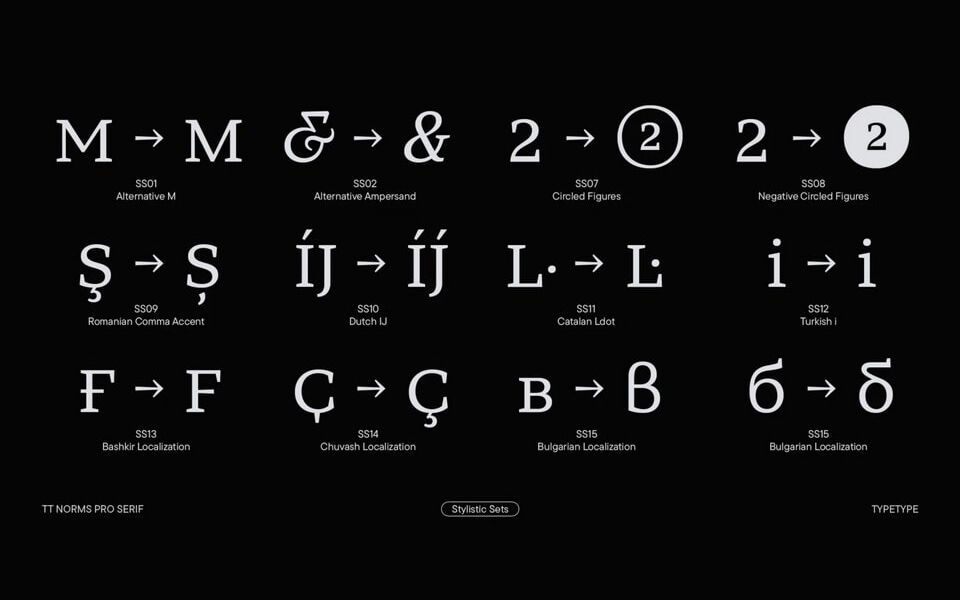 TT Norms Pro Serif Typeface