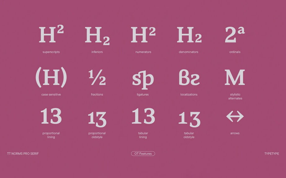 TT Norms Pro Serif Typeface