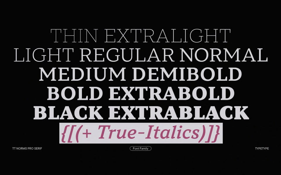 TT Norms Pro Serif Typeface