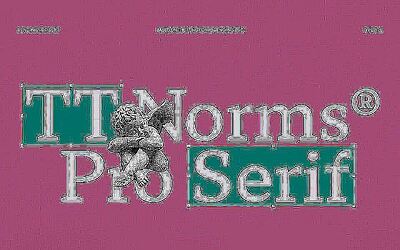 TT Norms Pro Serif Typeface (5)