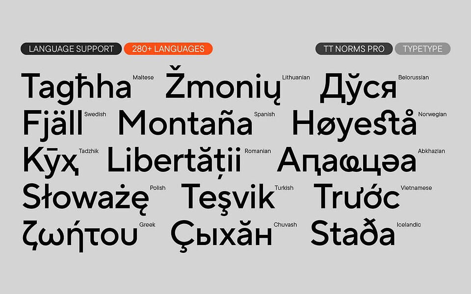 TT Norms Pro Typeface