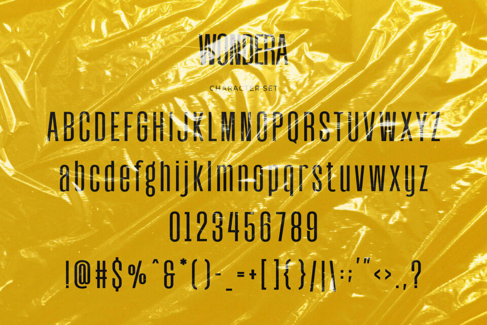 Wondera Font