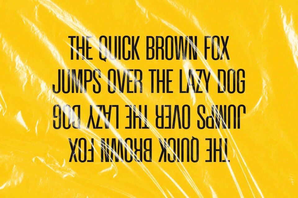 Wondera Font