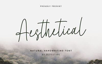 Aesthetical Font